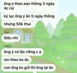IMG_5793.jpeg