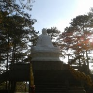 TAOTHAO12D