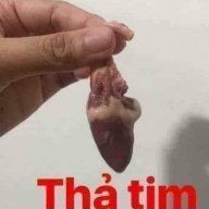 phamvan91