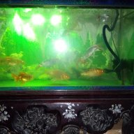 LUYEN1234F