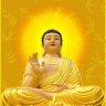 2368quyet